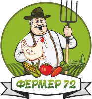 Сыроварня Bergmann 20 литров с ТЭНом и автоматикой