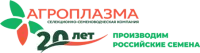 Семена подсолнечника Светлана КЛП (устойчивость к гербициду Евро-Лайтнинг)