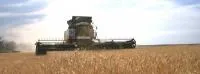Тандемные дисковые бороны TD600