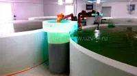 Биореактор с УФ-стерилизацией для УЗВ