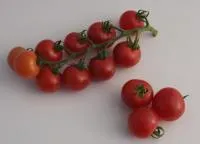 Семена томата Минтич F1, 500 шт