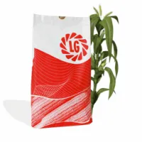 ЛГ 3258 (ФАО 250) гибрид кукурузы LIMAGRAIN (Лимагрейн)