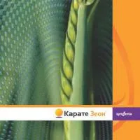 Инсектицид Каратэ Зеон
