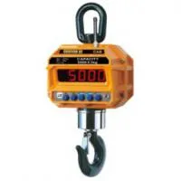 Весы крановые CAS 2THD5