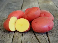 Семена картофеля Розара