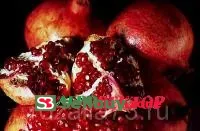 Гранат Восточный (Ачик анор)