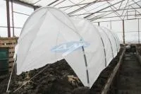 Готовый парник «ДАЯС-Ананас» 4 метра
