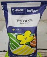 Семена ярового рапса Видер КЛ БАСФ/BASF
