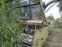 Кормоуборочный комбайн Fortschritt Е-281