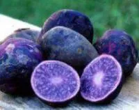 Семенной картофель сорт Аметист
