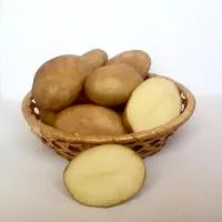 Семенной картофель сорт Надежда