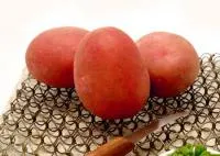 Семена картофеля Ред Соня