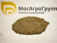 Семена овсяницы луговой Шведская в розницу
