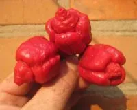 Семена перца горького Skorpion Moruga